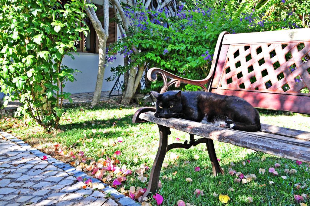 Uma Casa A Beira Sol Bed & Breakfast Lagos Exterior foto